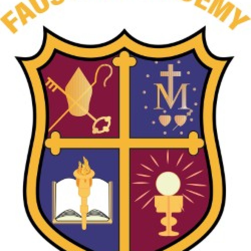NAPCIS SCHOOL - Faustina Academy - in the news!
